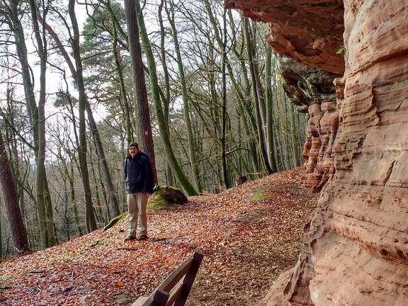 IMG 20190118 131132558 HDR